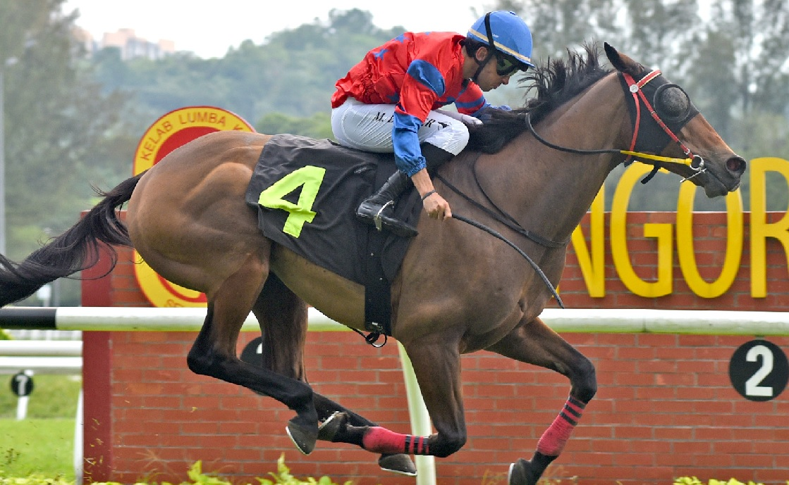 Perak Turf Club - DERBY RETURNS TO PRTC CALENDAR